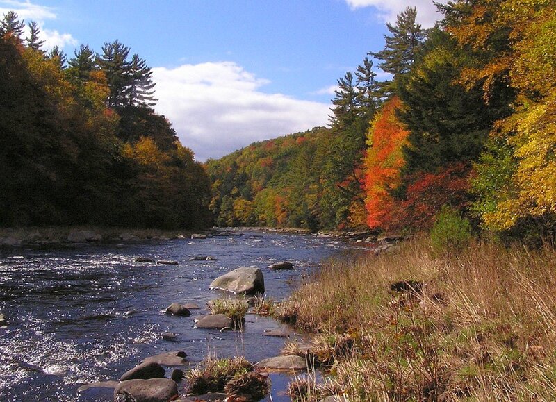 River Through Autumn Forest — Blue