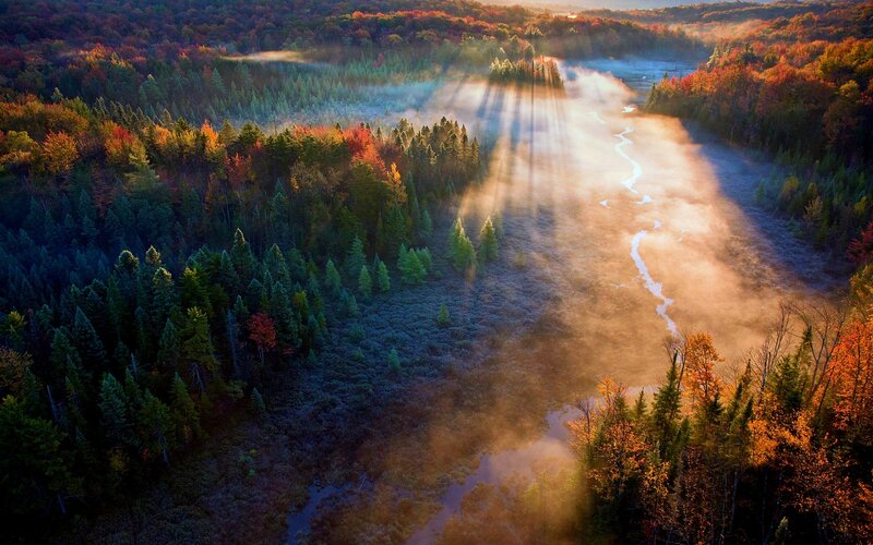 River Through Autumn Forest — Green, Serene, Morning