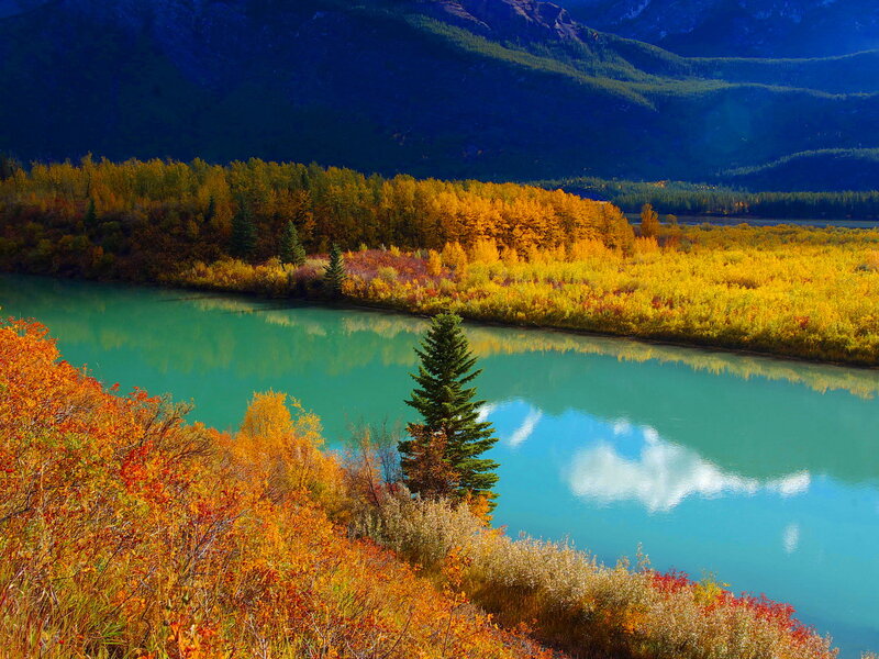 River Through Autumn Forest — Green, Serene, Photograph, Mountains