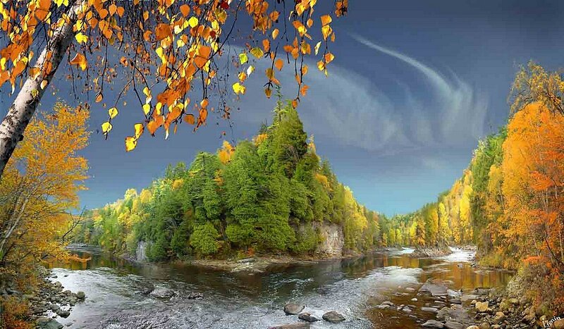 River Through Autumn Forest — Green, Serene, Photograph