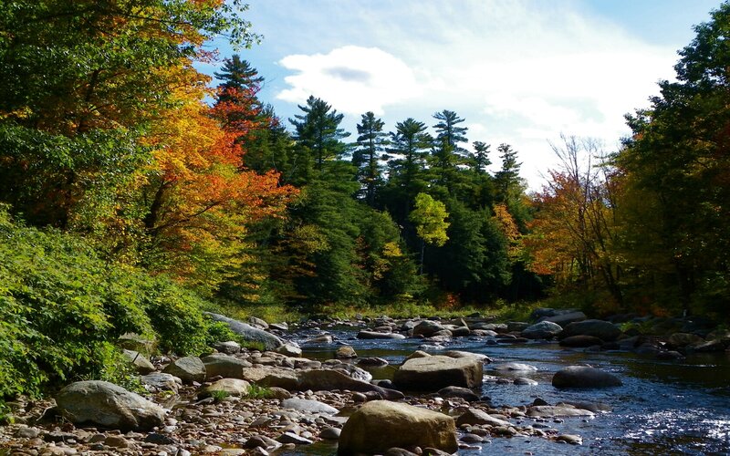 River Through Autumn Forest — Green, Serene, Photograph, Trees, Rocks, Stream, Orange
