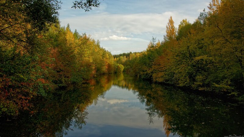 River Through Autumn Forest — Green, Serene, Photograph, Trees, Sky