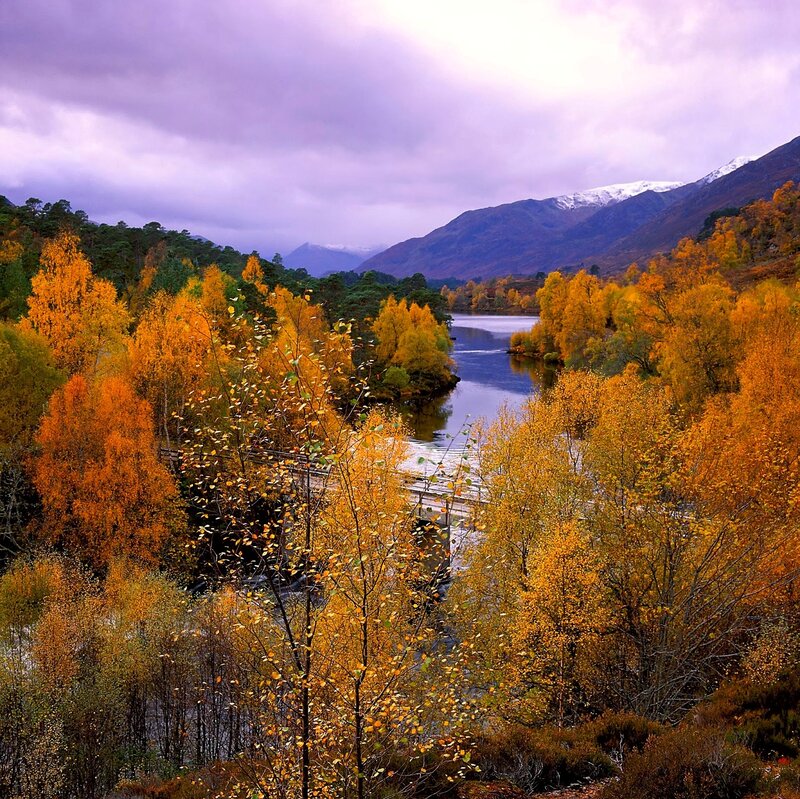 River Through Autumn Forest — Orange, Serene, Photograph, Mountains, Trees