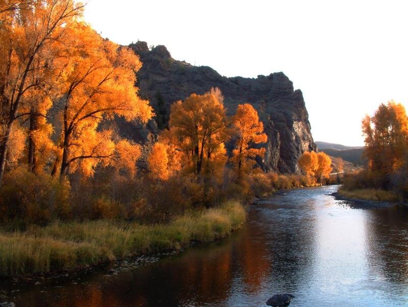 River Through Autumn Forest — Orange, Serene, Photograph