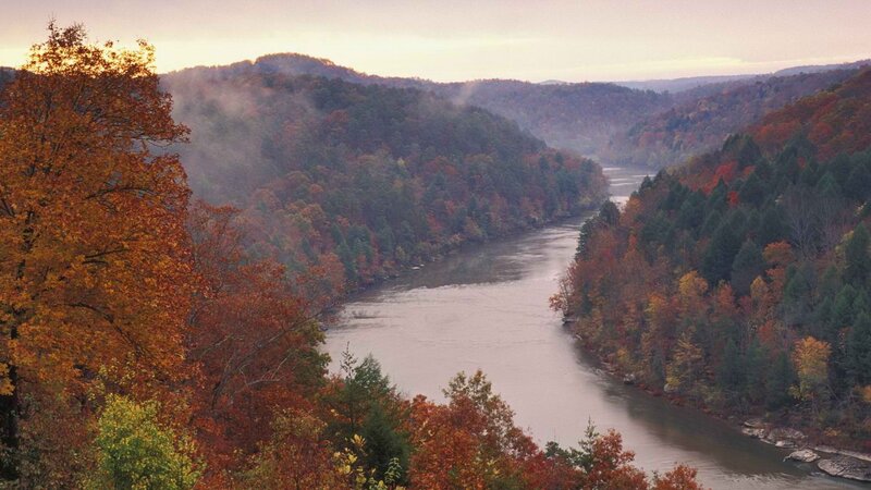 River Through Autumn Forest — Orange, Serene, Photograph, Trees, Hills, Mist, Green, Brown