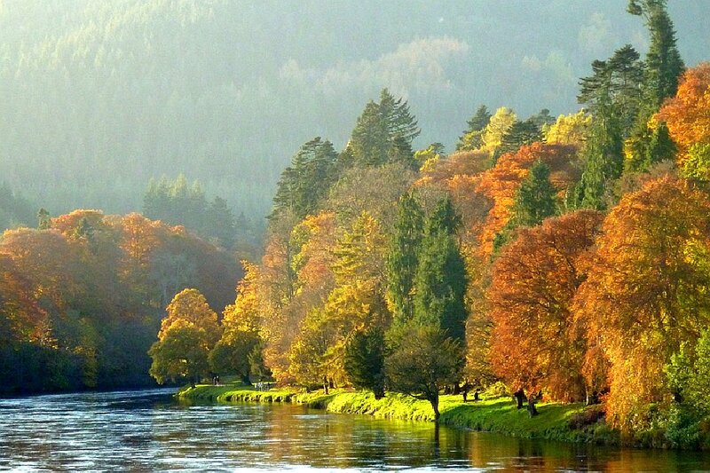 River Through Autumn Forest — Orange, Serene, Photograph, Trees, Hills