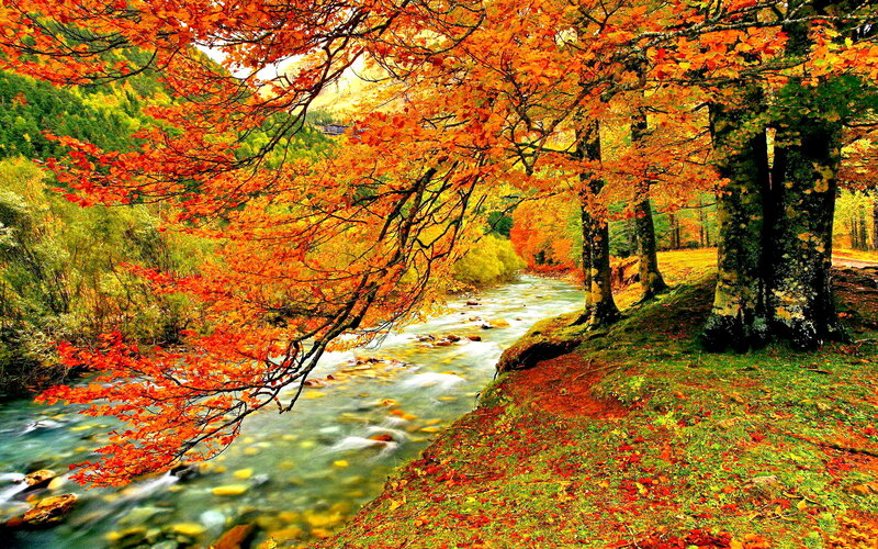 River Through Autumn Forest — Orange, Serene, Photograph, Trees, Leaves, Hills