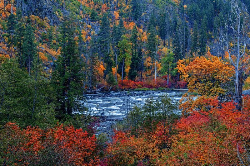 River Through Autumn Forest — Orange, Serene, Photograph, Trees, Mountain
