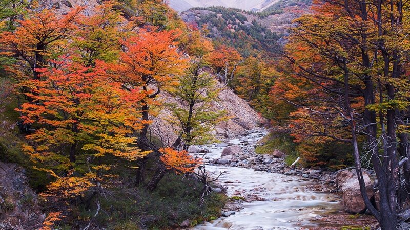 River Through Autumn Forest — Orange, Serene, Photograph, Trees, Mountains