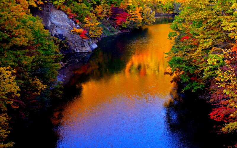 River Through Autumn Forest — Orange, Serene, Photograph, Trees, Rock