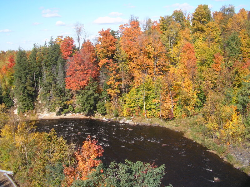 River Through Autumn Forest — Orange, Serene, Photograph, Trees, Rocks