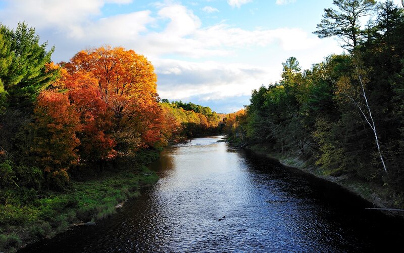 River Through Autumn Forest — Orange, Serene, Photograph, Trees, Sky