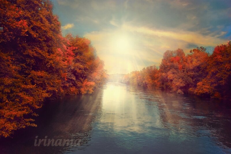 River Through Autumn Forest — Orange, Serene, Photograph, Trees, Sunlight