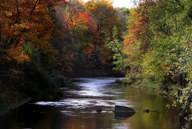 River Through Autumn Forest — Orange, Serene