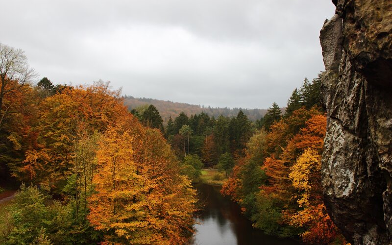 River Through Autumn Forest — Orange