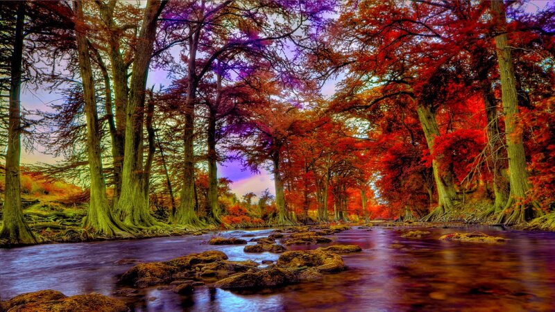 River Through Autumn Forest — Red, Dramatic