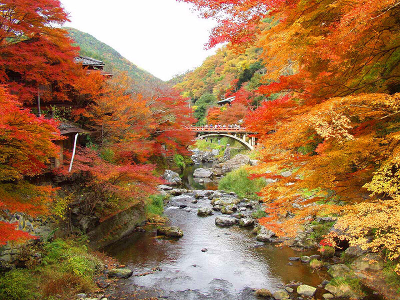 River Through Autumn Forest — Red, Serene, Photograph, Bridge