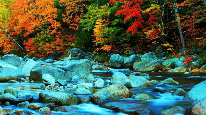 River Through Autumn Forest — Red, Serene, Photograph, Rocks