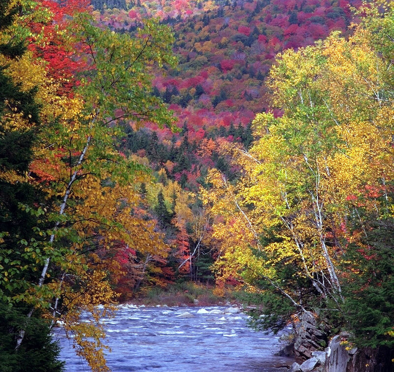 River Through Autumn Forest — Red, Serene, Photograph