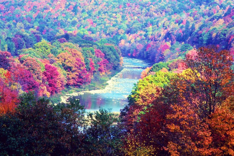 River Through Autumn Forest — Red, Serene, Photograph, Trees, Hills
