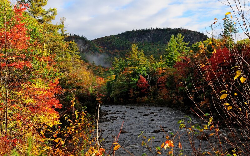 River Through Autumn Forest — Red, Serene, Photograph, Trees, Mountain, Mist