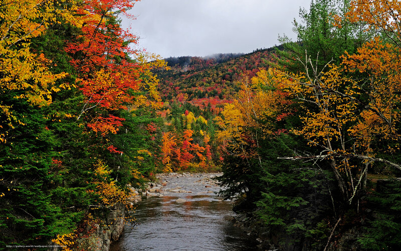 River Through Autumn Forest — Red, Serene, Photograph, Trees, Mountain, Stream