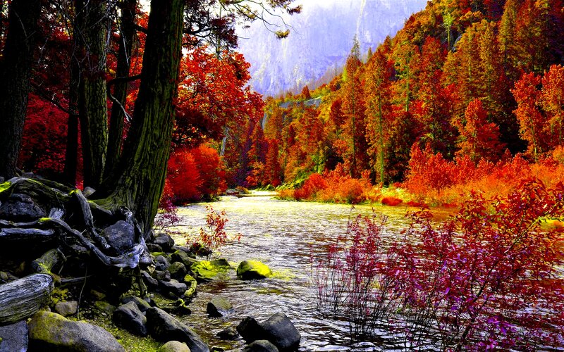 River Through Autumn Forest — Red, Serene, Photograph, Trees, Mountain