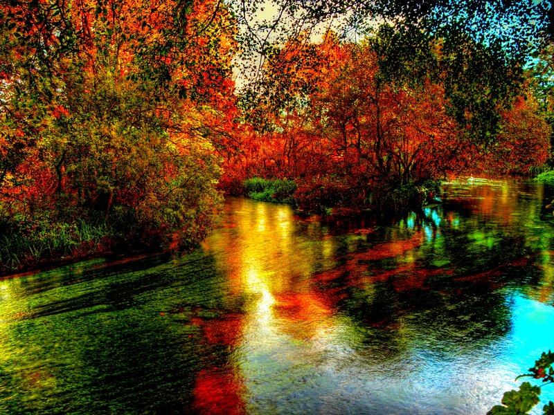 River Through Autumn Forest — Red, Serene, Photograph, Trees, Reflection