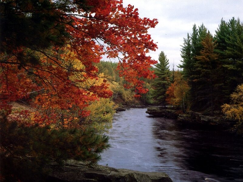 River Through Autumn Forest — Red, Serene, Photograph, Trees, Rocks, Sky, Green