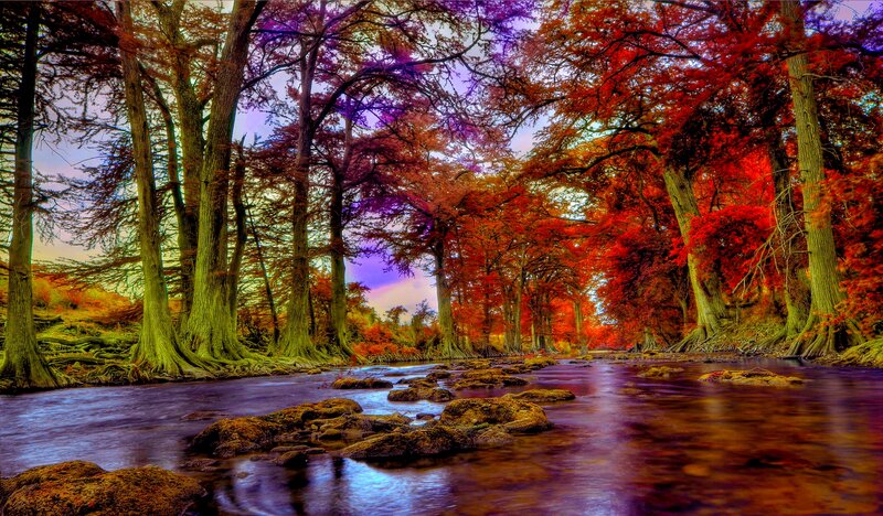 River Through Autumn Forest — Red, Serene, Photograph, Trees, Rocks, Sky