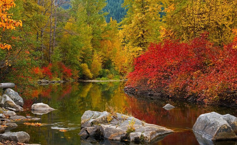 River Through Autumn Forest — Red, Serene, Photograph, Trees, Rocks