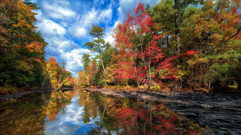 River Through Autumn Forest — Red, Serene, Photograph, Trees, Sky