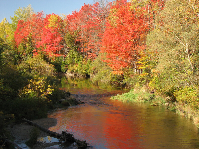 River Through Autumn Forest — Red, Serene, Photograph, Trees