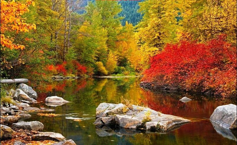 River Through Autumn Forest — Red, Serene