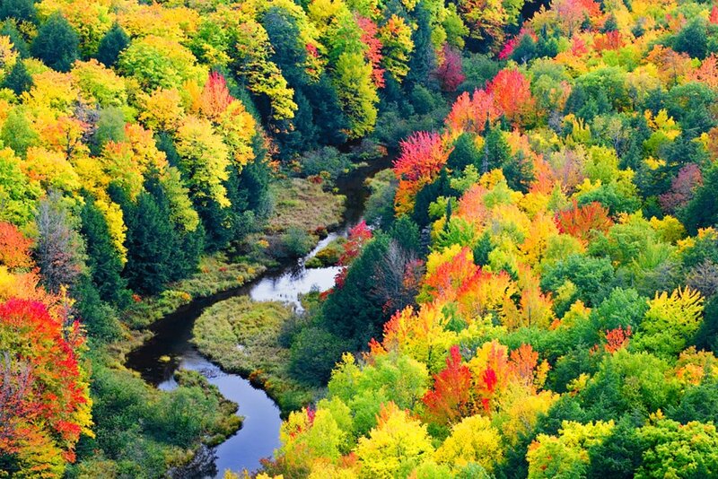 River Through Autumn Forest — Red