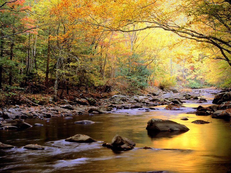 River Through Autumn Forest — Rocks