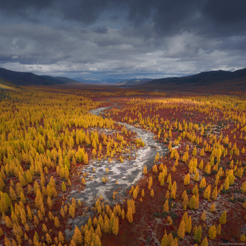 River Through Autumn Forest — Yellow, Dramatic, Photograph