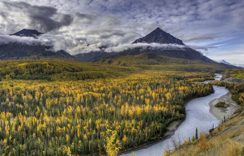 River Through Autumn Forest — Yellow, Dramatic