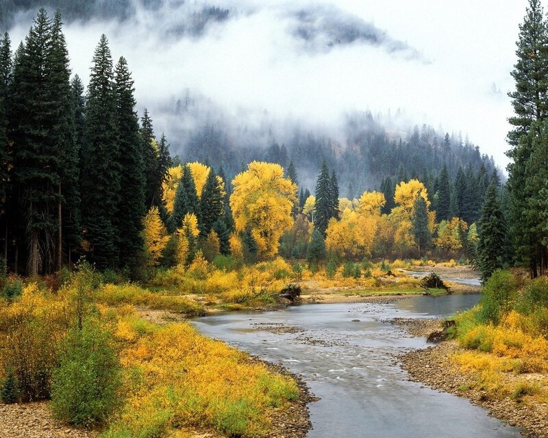 River Through Autumn Forest — Yellow, Serene, Photograph, Trees, Mountains, Fog