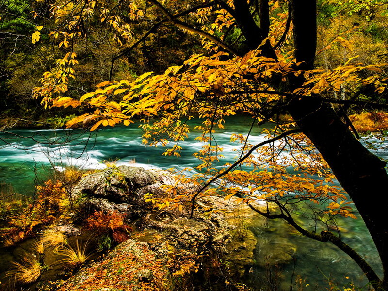 River Through Autumn Forest — Yellow, Serene, Photograph, Trees, Rocks