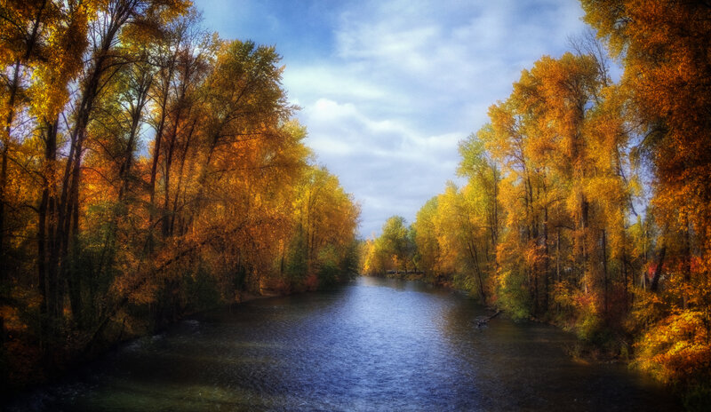 River Through Autumn Forest — Yellow, Serene, Photograph, Trees, Sky