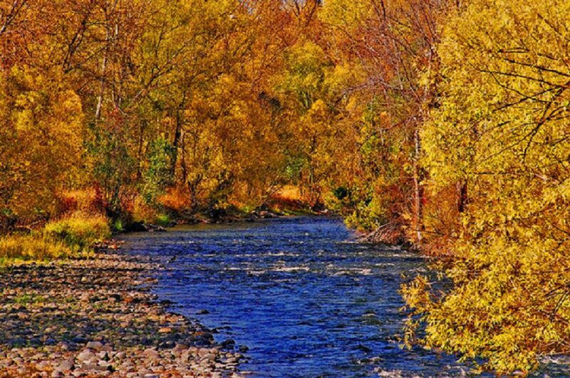 River Through Autumn Forest — Yellow, Serene, Photograph, Trees