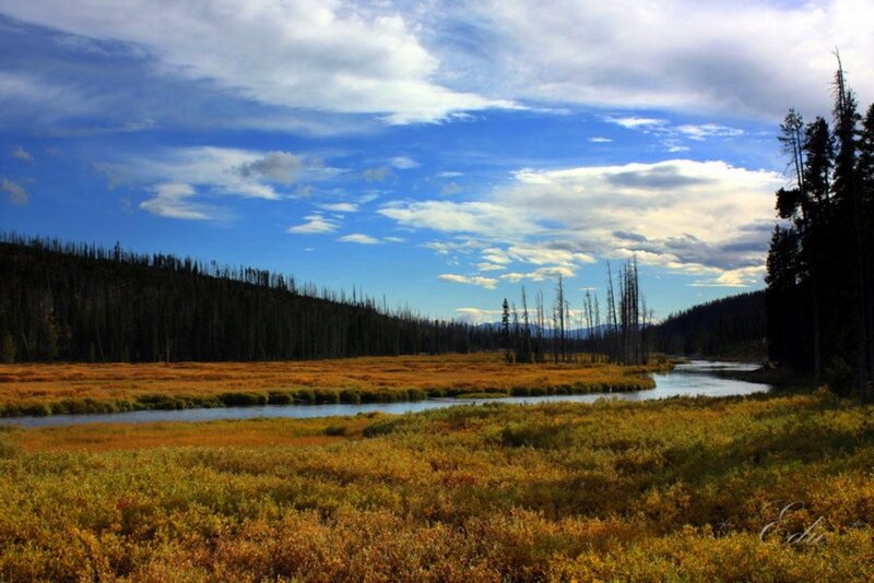 River Through Autumn Marsh — Blue