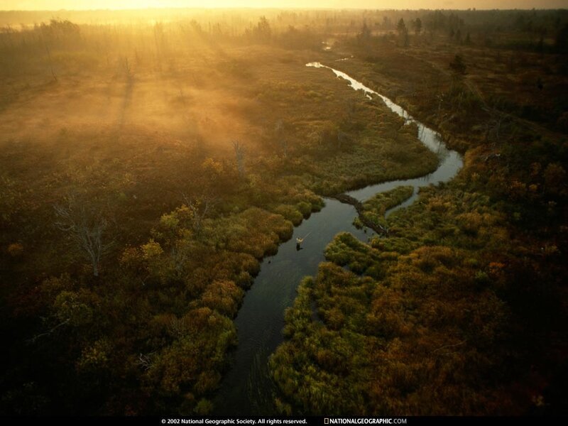 River through autumn marsh