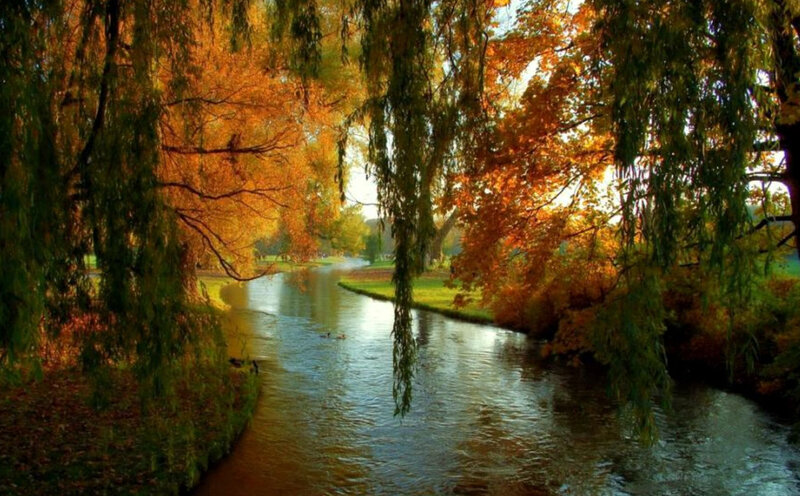 River Through Autumn Trees