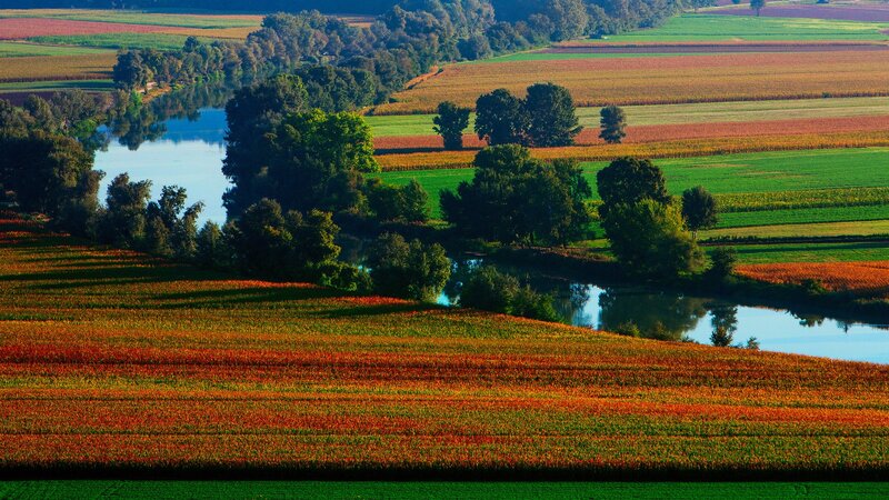 River Through Farmland