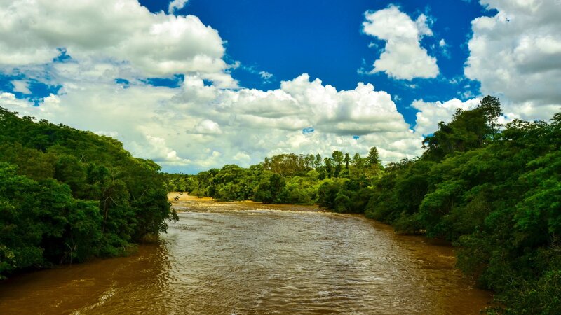River Through Forest — Blue, Serene, Afternoon, Photograph, Trees, Clouds, Sky