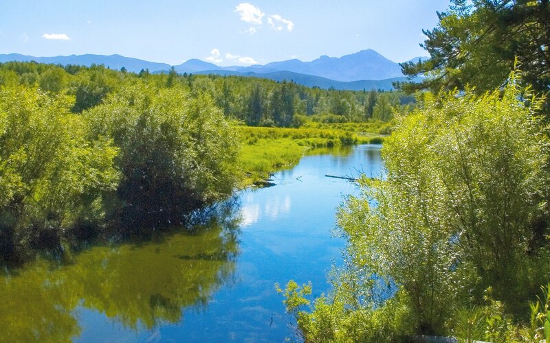 River Through Forest — Blue, Serene, Afternoon, Photograph, Trees, Mountains