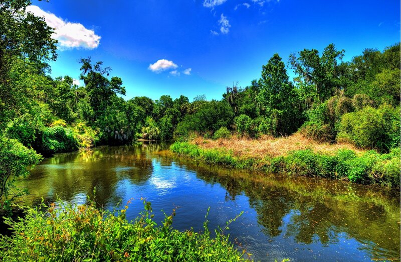 River Through Forest — Blue, Serene, Afternoon, Photograph, Trees, Sky
