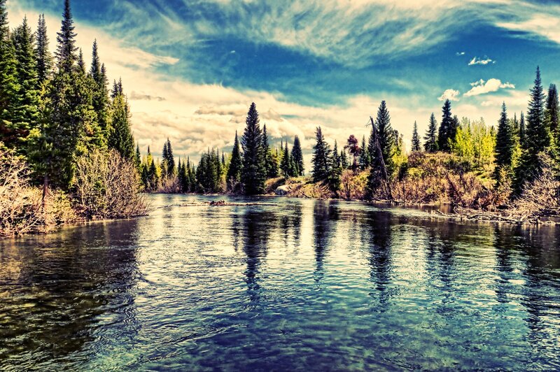 River Through Forest — Blue, Serene, Afternoon, Photograph, Trees